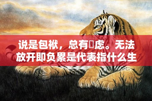 说是包袱，总有掛虑。无法放开即负累是代表指什么生肖，成语释义解释落实