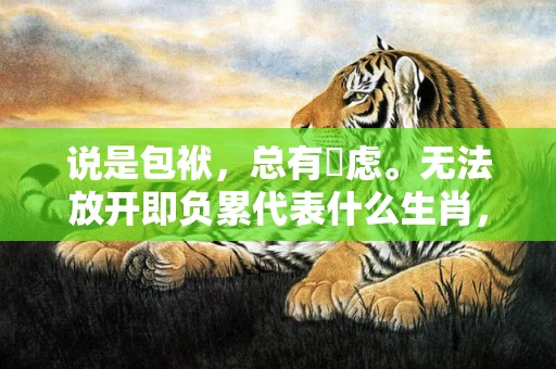 说是包袱，总有掛虑。无法放开即负累代表什么生肖，成语释义解释落实插图