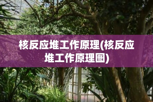 核反应堆工作原理(核反应堆工作原理图)