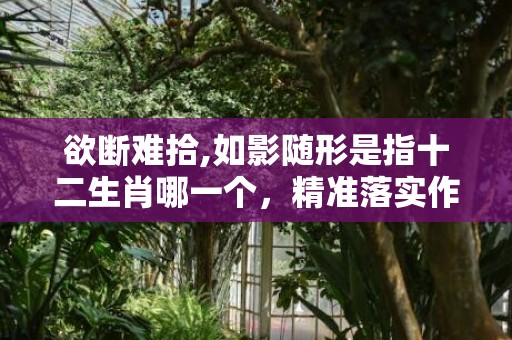 欲断难拾,如影随形是指十二生肖哪一个，精准落实作答释义