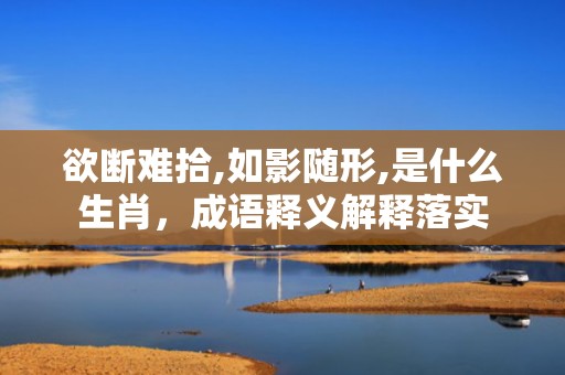 欲断难拾,如影随形,是什么生肖，成语释义解释落实