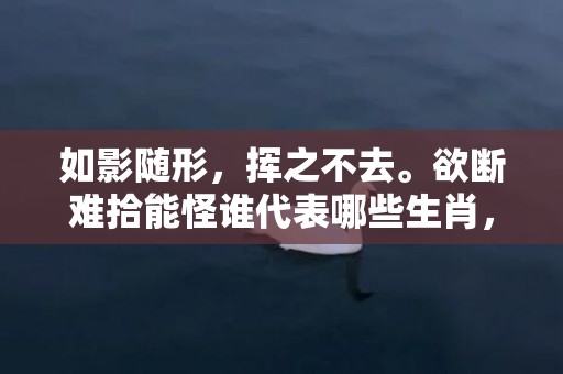 如影随形，挥之不去。欲断难拾能怪谁代表哪些生肖，成语释义解释落实