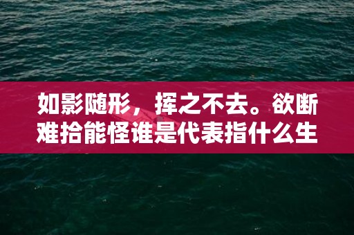 如影随形，挥之不去。欲断难拾能怪谁是代表指什么生肖，成语释义解释落实