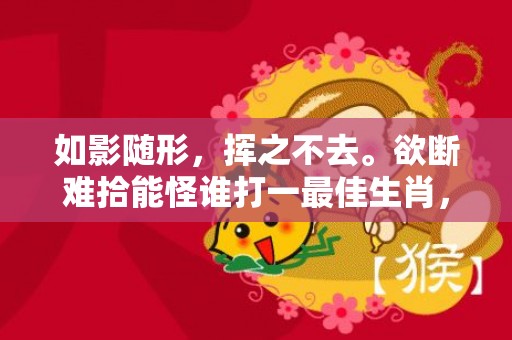 如影随形，挥之不去。欲断难拾能怪谁打一最佳生肖，成语释义解释落实