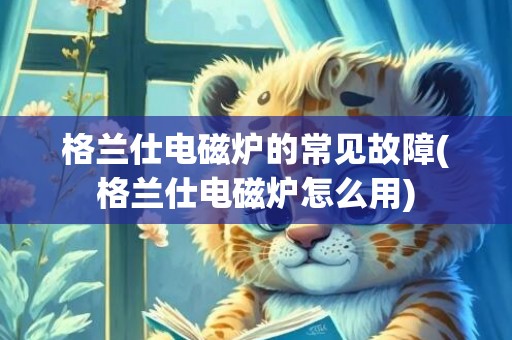 格兰仕电磁炉的常见故障(格兰仕电磁炉怎么用)