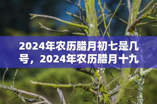 2024年农历腊月初七是几号，2024年农历腊月十九的习俗有哪些