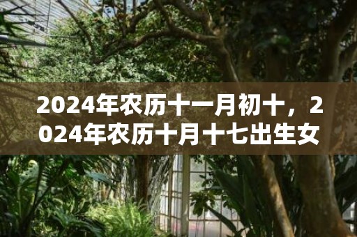 2024年农历十一月初十，2024年农历十月十七出生女孩好听雅致的名字