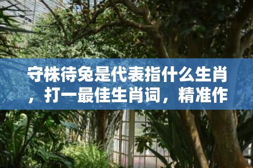 守株待兔是代表指什么生肖，打一最佳生肖词，精准作答落实释义
