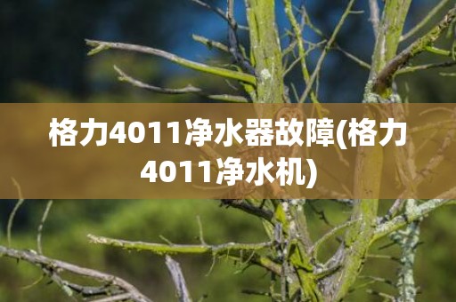格力4011净水器故障(格力4011净水机)