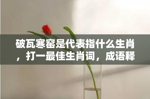 破瓦寒窑是代表指什么生肖，打一最佳生肖词，成语释义解释落实