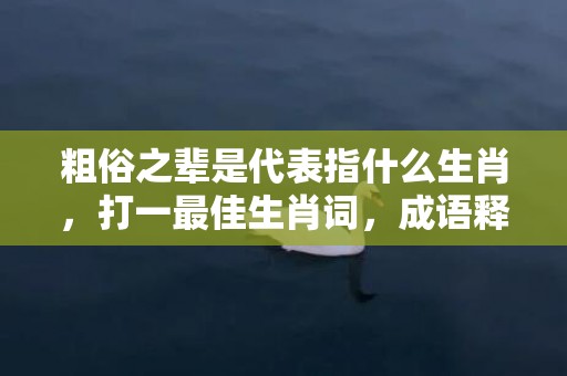 粗俗之辈是代表指什么生肖，打一最佳生肖词，成语释义解释落实