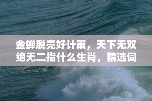 金蝉脱壳好计策，天下无双绝无二指什么生肖，精选词语落实释义
