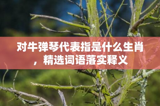 对牛弹琴代表指是什么生肖，精选词语落实释义