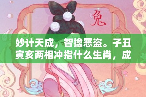 妙计天成，智擒恶盗。子丑寅亥两相冲指什么生肖，成语释义解释落实插图