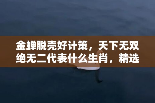 金蝉脱壳好计策，天下无双绝无二代表什么生肖，精选词语落实释义插图