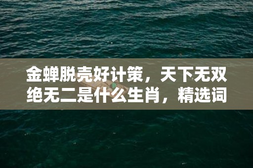 金蝉脱壳好计策，天下无双绝无二是什么生肖，精选词语落实释义插图