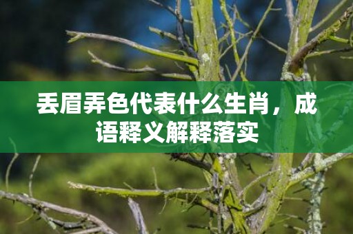丢眉弄色代表什么生肖，成语释义解释落实