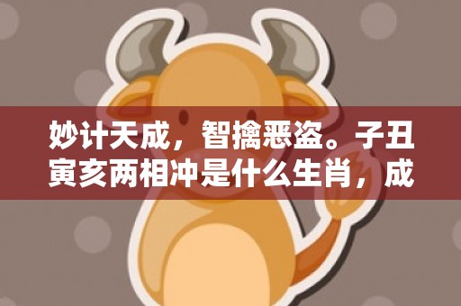 妙计天成，智擒恶盗。子丑寅亥两相冲是什么生肖，成语释义解释落实插图