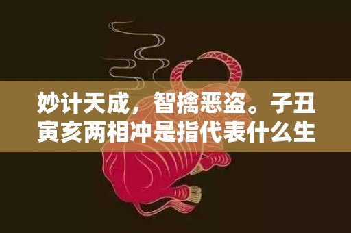 妙计天成，智擒恶盗。子丑寅亥两相冲是指代表什么生肖，打一最佳生肖词语