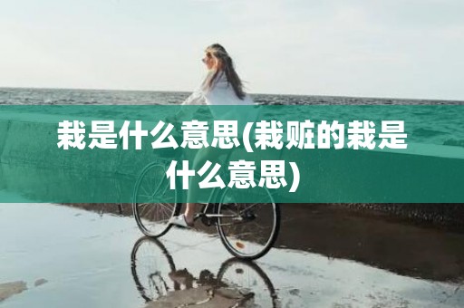 栽是什么意思(栽赃的栽是什么意思)