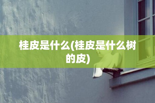 桂皮是什么(桂皮是什么树的皮)