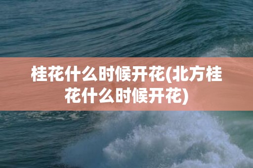桂花什么时候开花(北方桂花什么时候开花)