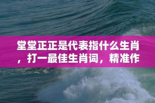 堂堂正正是代表指什么生肖，打一最佳生肖词，精准作答落实释义插图