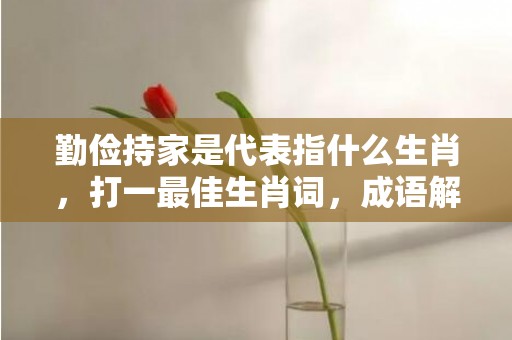 勤俭持家是代表指什么生肖，打一最佳生肖词，成语解释落实释义插图