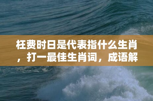 枉费时日是代表指什么生肖，打一最佳生肖词，成语解释落实释义
