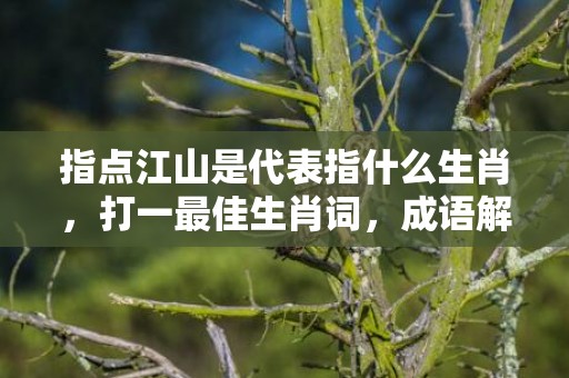 指点江山是代表指什么生肖，打一最佳生肖词，成语解释落实释义插图