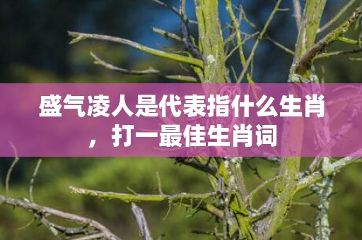盛气凌人是代表指什么生肖，打一最佳生肖词插图