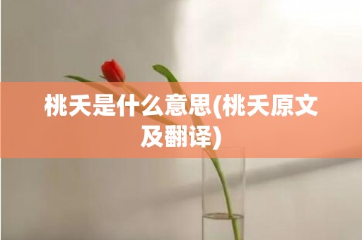 桃夭是什么意思(桃夭原文及翻译)