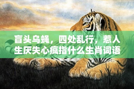 盲头乌蝇，四处乱行，惹人生厌失心疯指什么生肖词语，成语释义解释落实插图