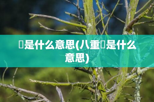 桜是什么意思(八重桜是什么意思)