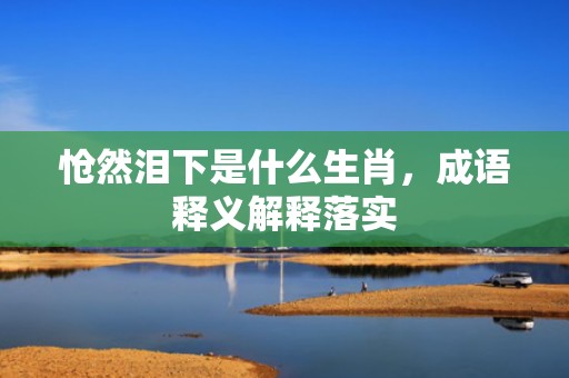 怆然泪下是什么生肖，成语释义解释落实