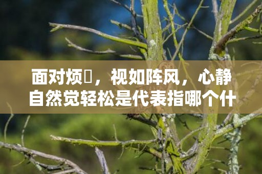 面对烦擾，视如阵风，心静自然觉轻松是代表指哪个什么生肖，成语释义解释落实插图