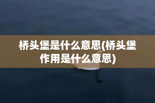 桥头堡是什么意思(桥头堡作用是什么意思)