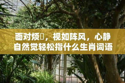 面对烦擾，视如阵风，心静自然觉轻松指什么生肖词语，成语释义解释落实