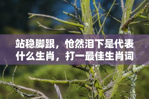 站稳脚跟，怆然泪下是代表什么生肖，打一最佳生肖词语，词语揭晓答案
