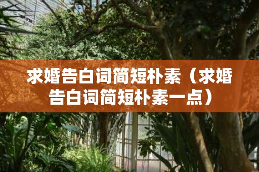 求婚告白词简短朴素（求婚告白词简短朴素一点）