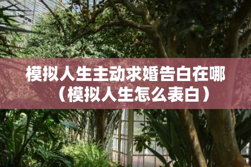 模拟人生主动求婚告白在哪（模拟人生怎么表白）