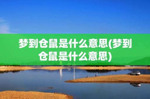 梦到仓鼠是什么意思(梦到仓鼠是什么意思)