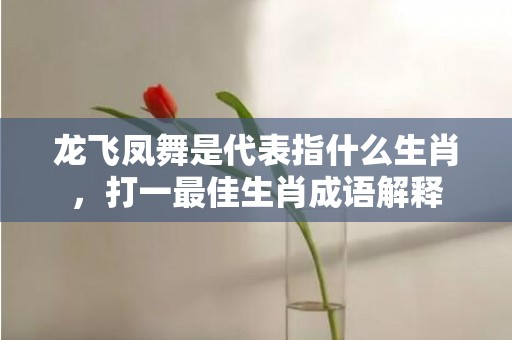 龙飞凤舞是代表指什么生肖，打一最佳生肖成语解释插图