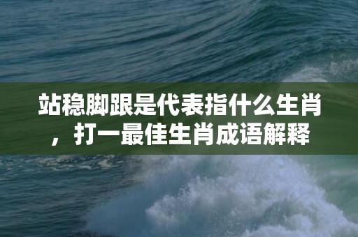 站稳脚跟是代表指什么生肖，打一最佳生肖成语解释
