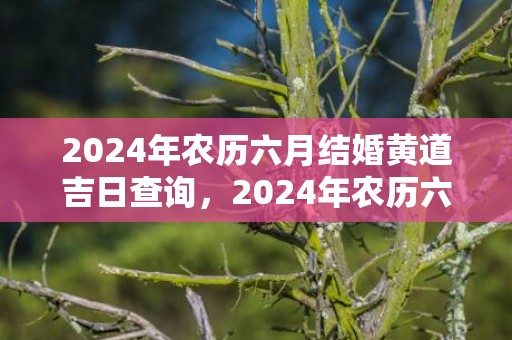 2024年农历六月结婚黄道吉日查询，2024年农历六月十一日五行属什么缺什么
