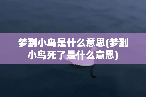 梦到小鸟是什么意思(梦到小鸟死了是什么意思)
