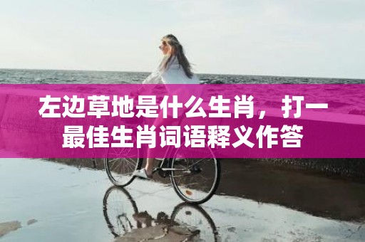 左边草地是什么生肖，打一最佳生肖词语释义作答