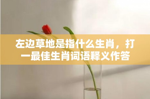 左边草地是指什么生肖，打一最佳生肖词语释义作答插图