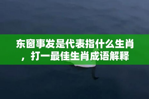 东窗事发是代表指什么生肖，打一最佳生肖成语解释插图