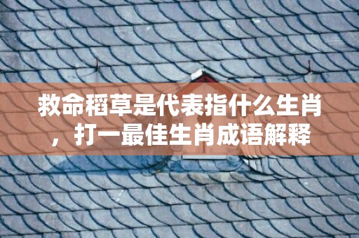 救命稻草是代表指什么生肖，打一最佳生肖成语解释插图